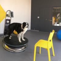 Séance de rééducation